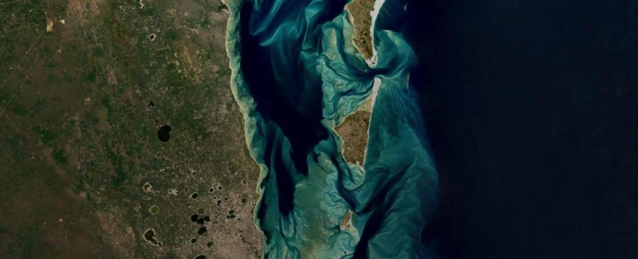 Satellite view of a turquoise coastline and sandbanks, from the Google Earth Engine site.